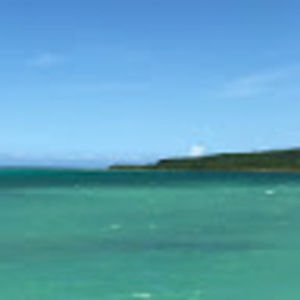 Meet your Posher, Addie